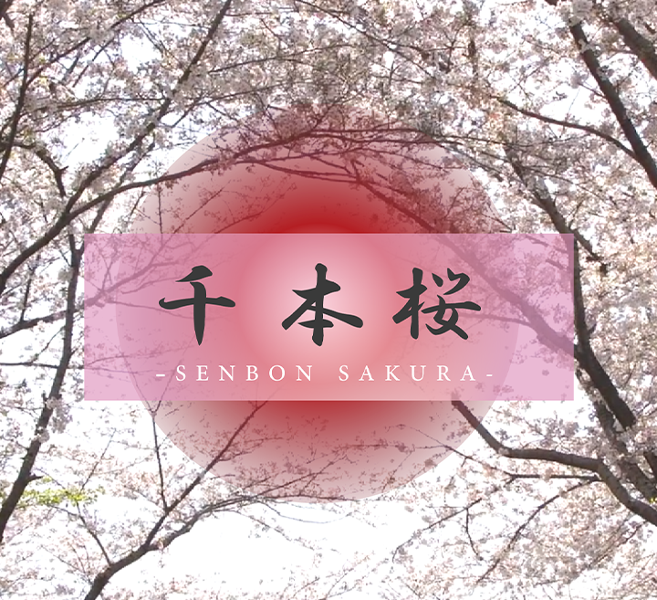 亚洲线精品k一区二区三八戒